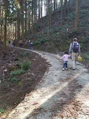 遠見岳バイキングの参加者の方々が緩やかな上り坂の登山道を歩いている様子を後方から写した写真