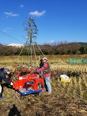 沢山の木材などが赤色の機械で運ばれ、2名の男性がどんど焼きの準備をしている様子の写真