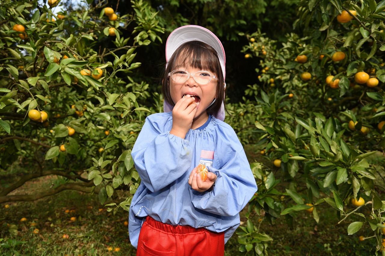 叙事がみかんを食べている様子