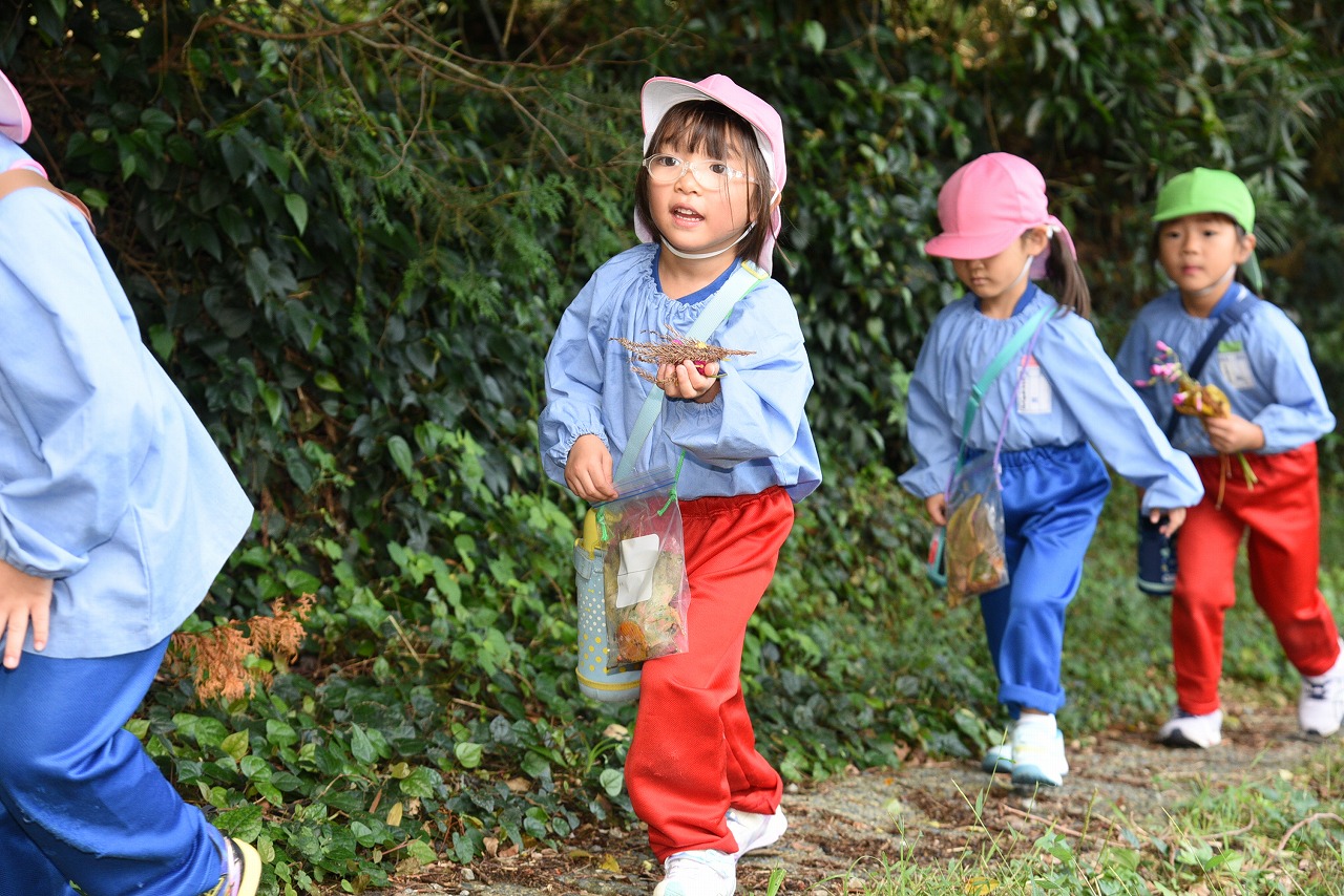 園児が落ち葉や木の実を見つけながら坂道を上っている様子