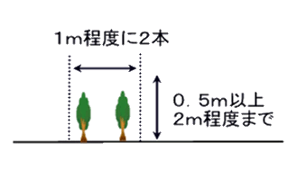 2本の樹木がある(横の間隔は1メートル程度につき2本、生け垣は高さ0.5メートルから2メートル程度)イラスト