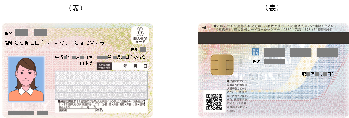 顔写真の箇所が女性のイラストになっているマイナンバーカードの表と裏を並べた写真
