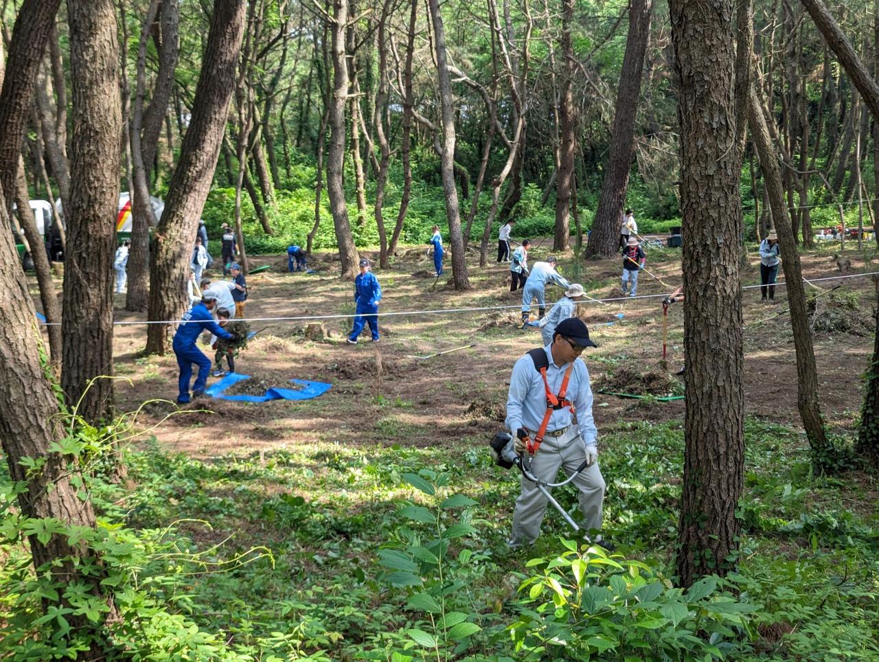 楯の松原作業風景2