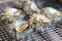 網の上に6つの貝が置かれている海鮮焼の写真