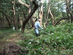 作業服を着た男性が電動草刈機で作業をしている写真