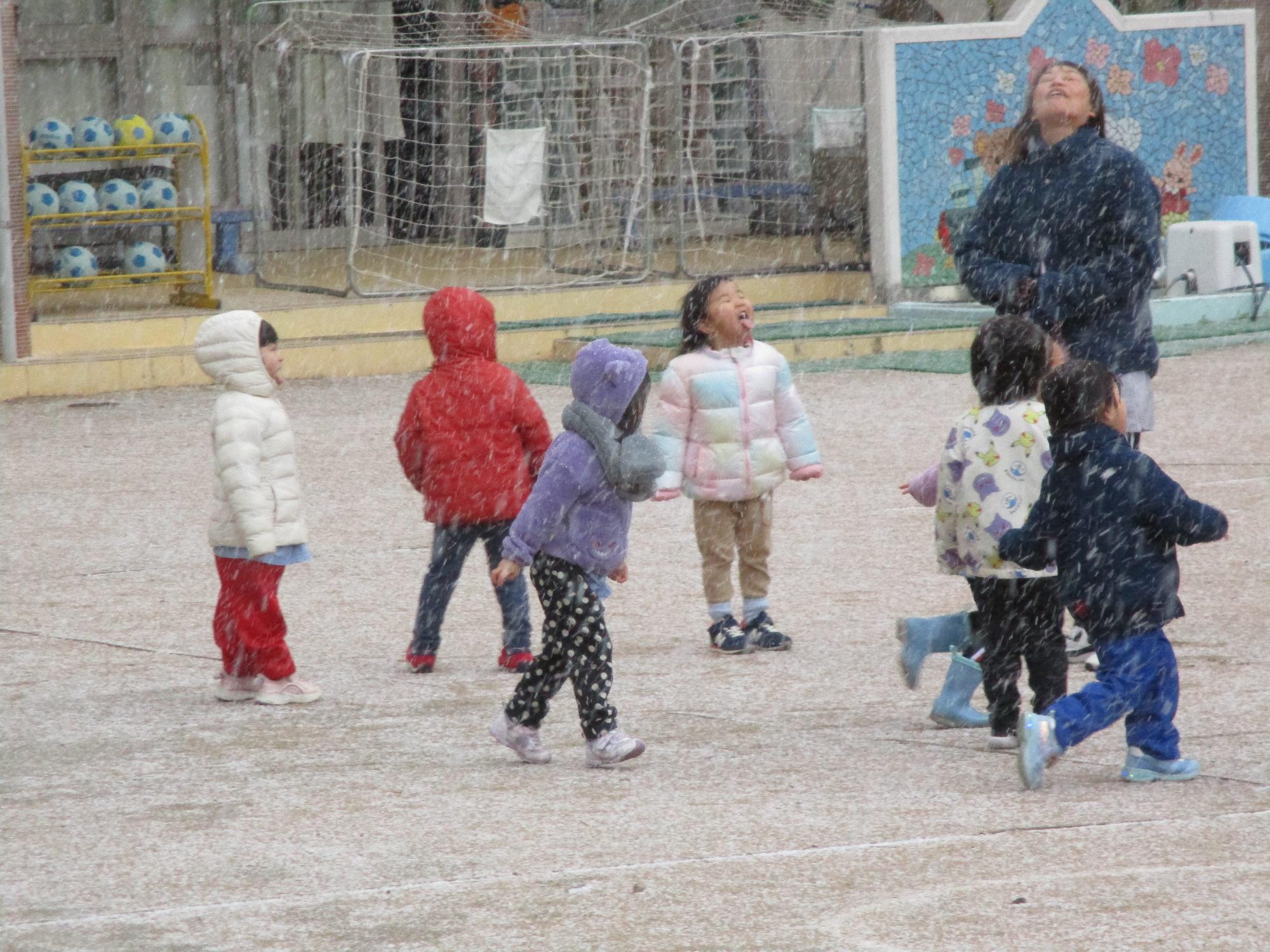 空を見上げて雪が降る様子を見ている子ども達