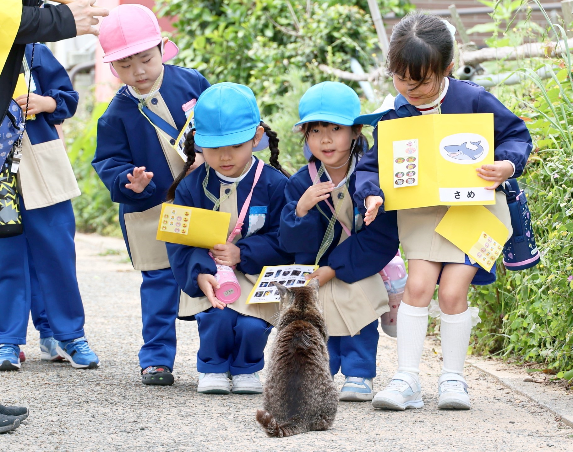 道の途中で猫に出会ったところ
