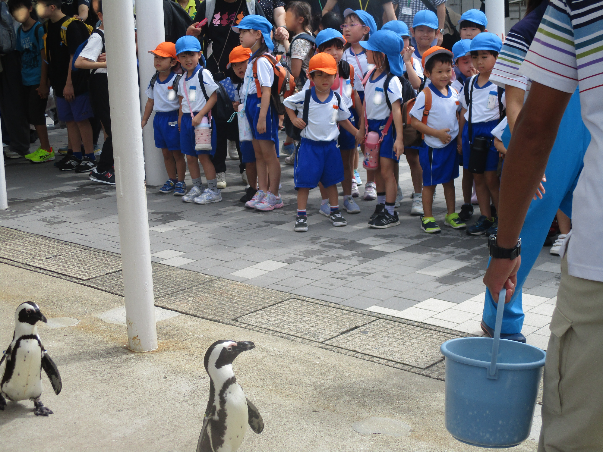 ペンギンを見ている子どもたち