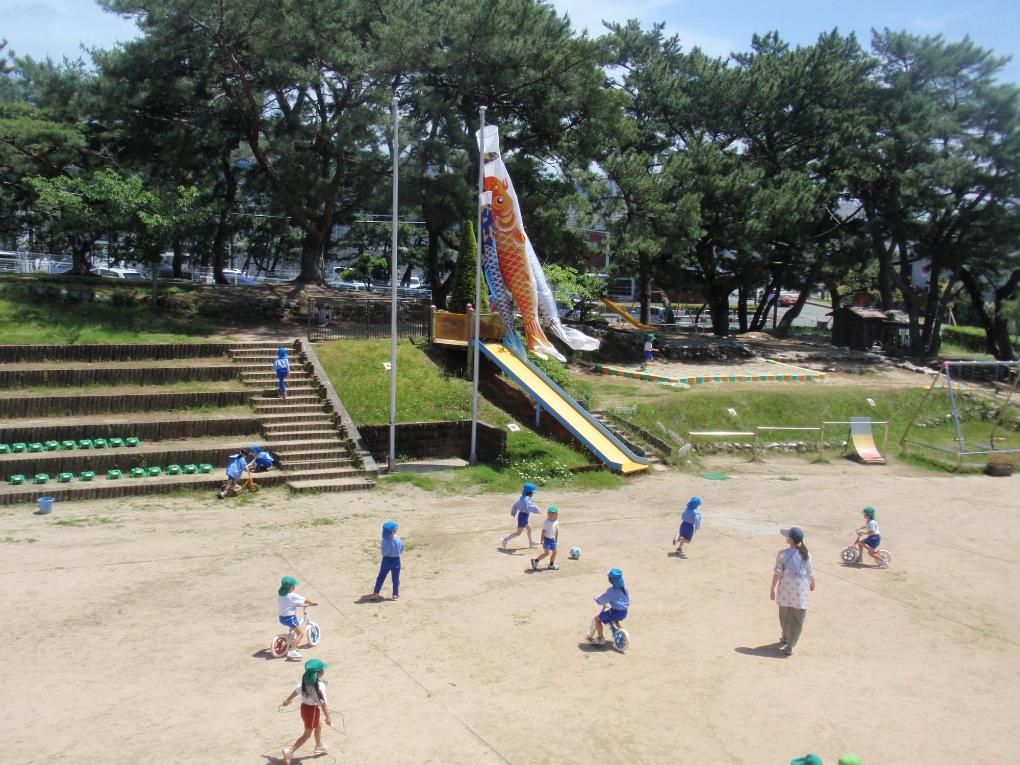 松林が広がる新宮幼稚園の園庭