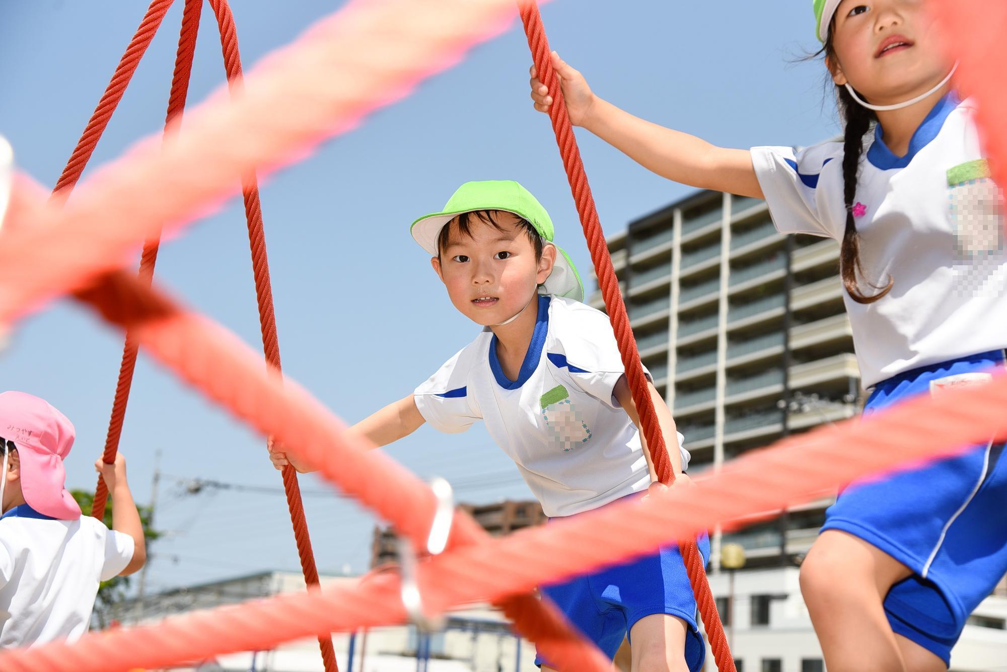 園児がネットクライミングを楽しんでいる様子