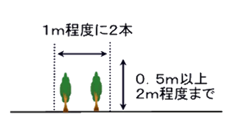 2本の樹木がある（横の間隔は1メートル程度につき2本、生け垣は高さ0.5メートルから2メートル程度）イラスト