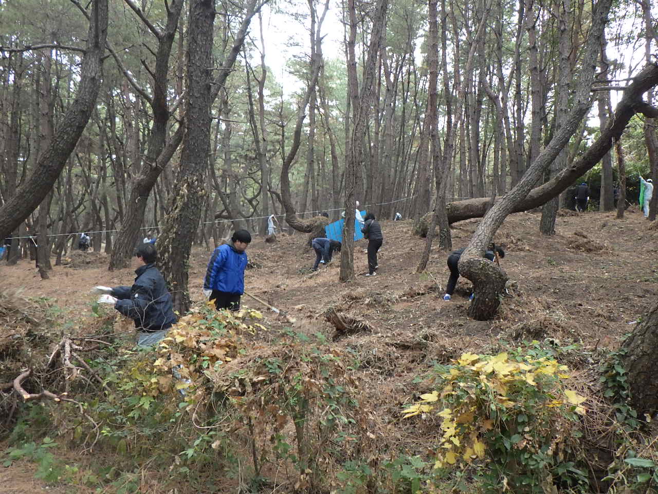 参加者で力を合わせて作業をしている様子