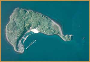 相島を真上から写した航空写真