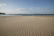 きれいな砂浜の奥に水平線が広がっている写真