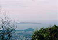 木々や街並みの向こうに海や相島が見える山頂からの景色の写真