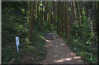 周囲を木々に囲まれた登山道入り口の写真