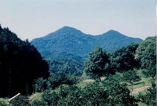 立花山全景の写真